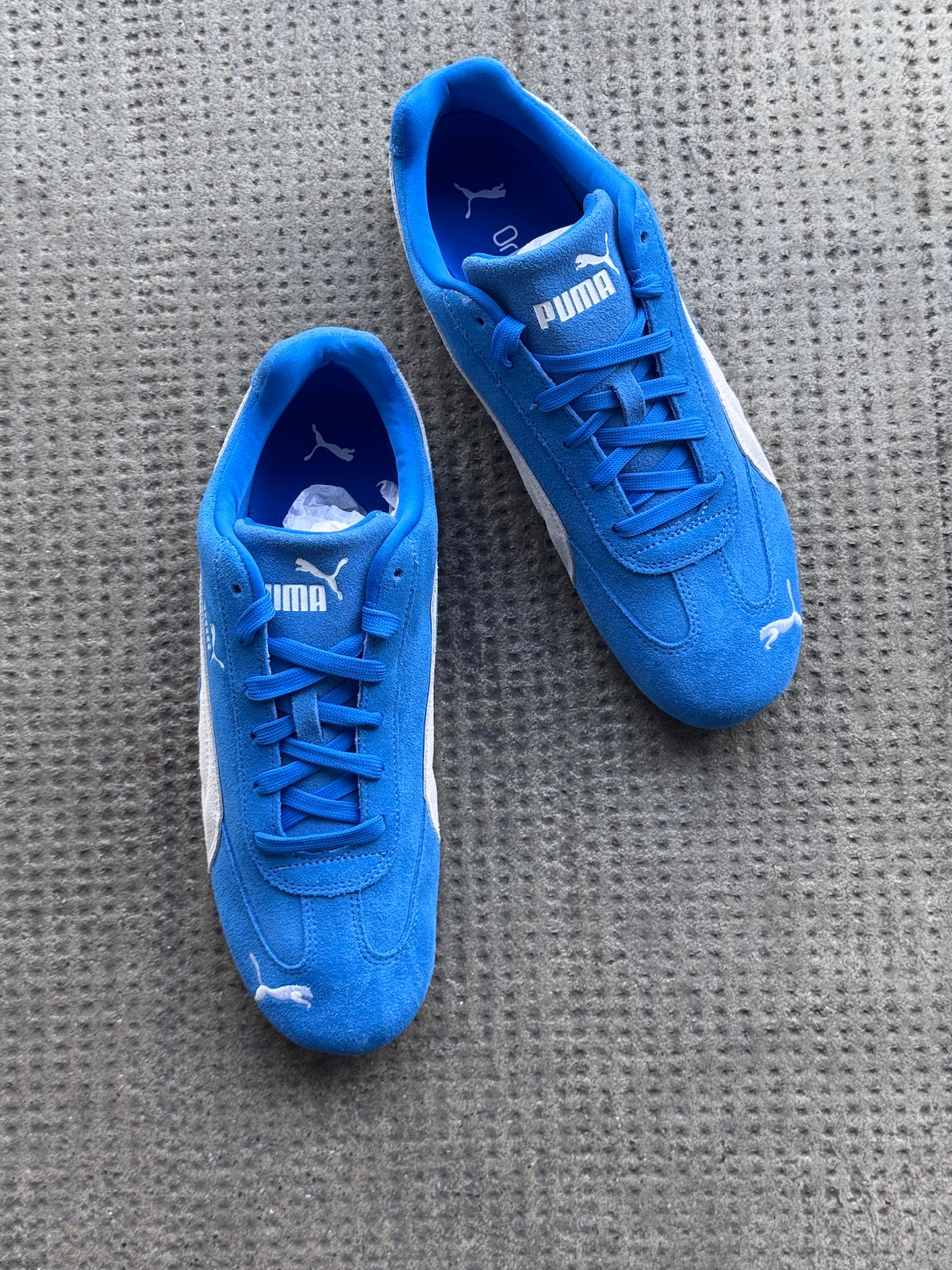 Sneaker SPEEDCAT