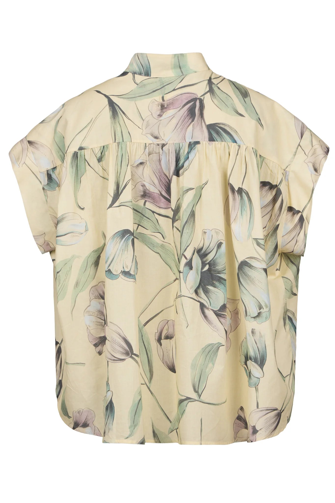 Bluse nic29ey
