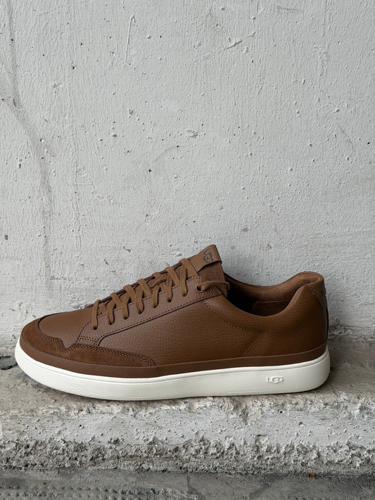 Sneaker South Bay Low