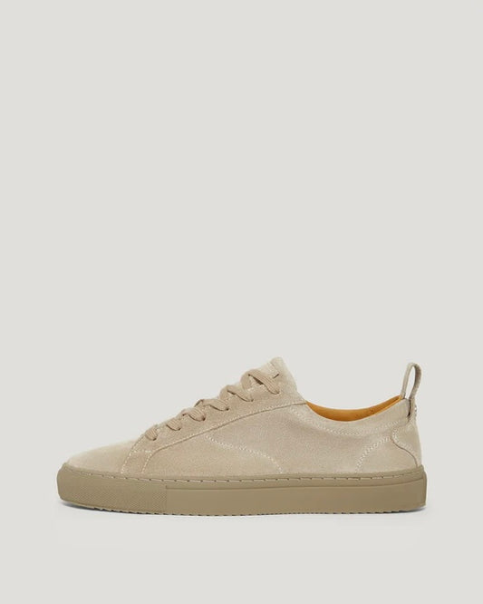 FLEMING TRAINER Fossil