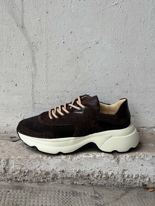 Sneaker Ross Zay