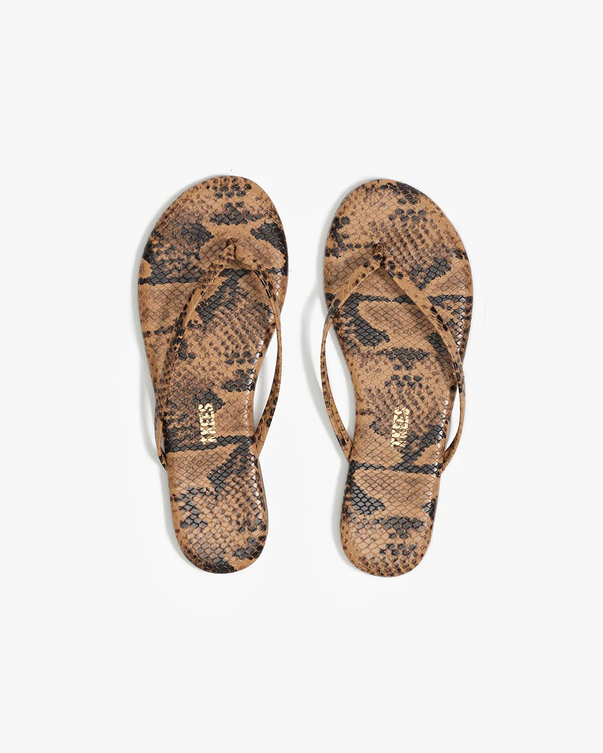 Studio Exotic Coco Snake