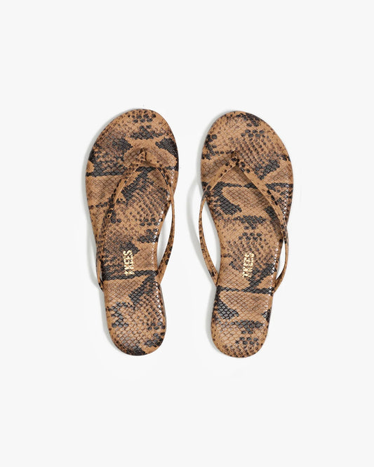 Studio Exotic Coco Snake