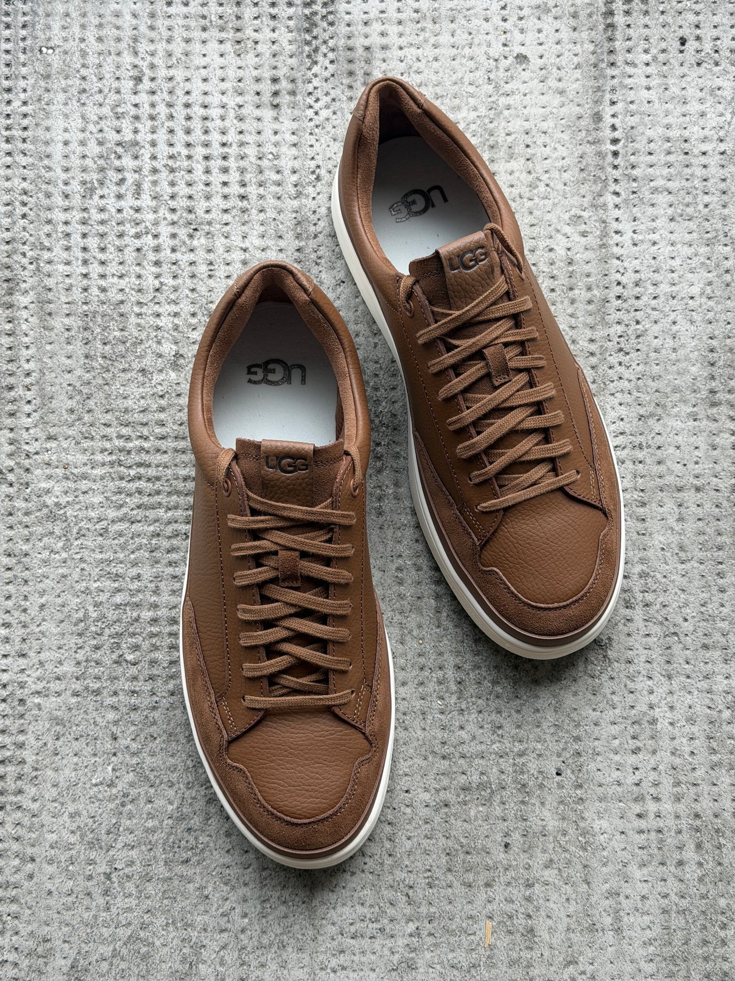 Sneaker South Bay Low