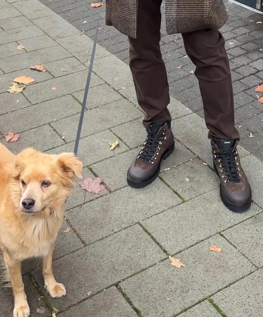 NUBIKK Boots LOGAN CHAD