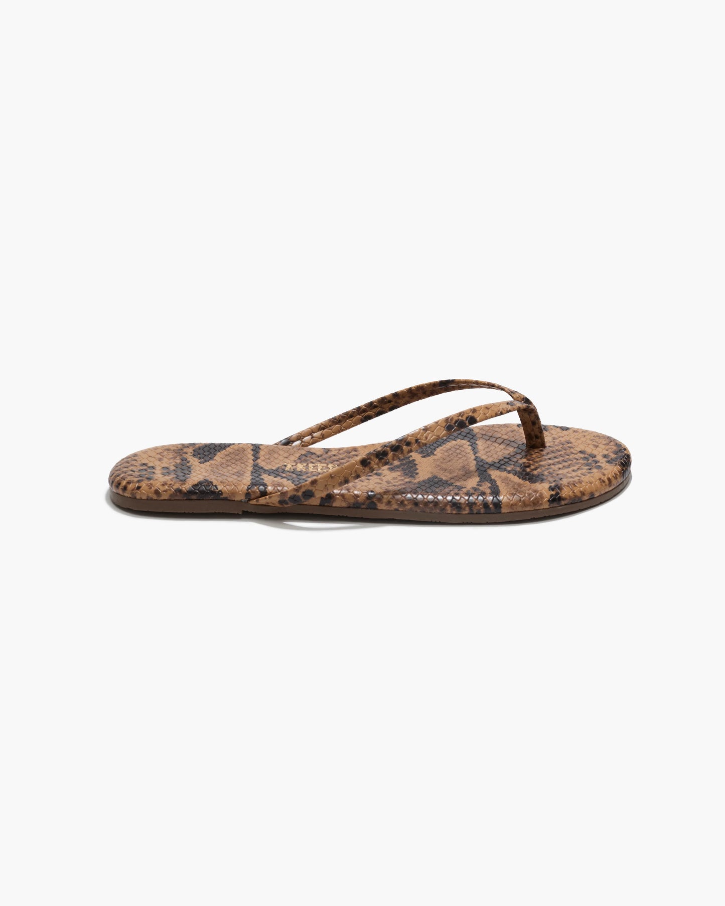 Studio Exotic Coco Snake