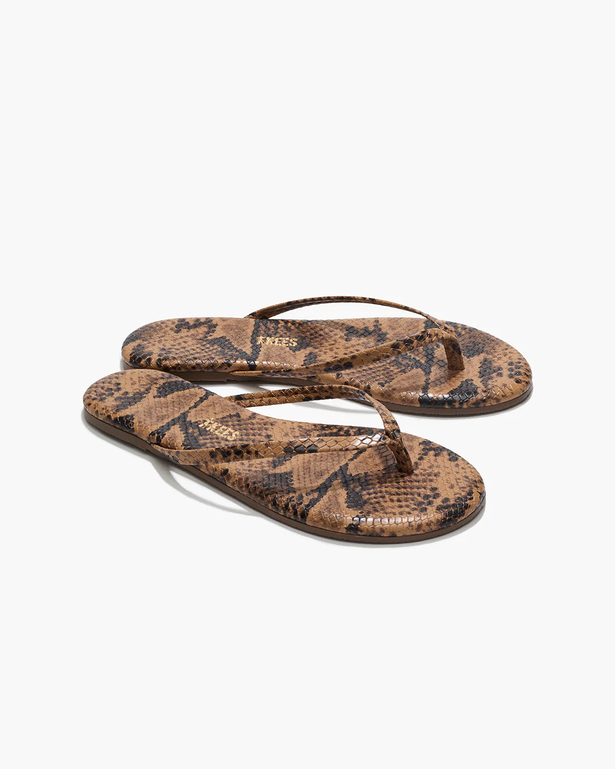 Studio Exotic Coco Snake